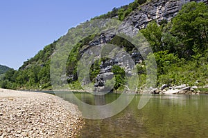 Búfalo un rio 