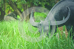 Buffalo statue standing on green grass in rice filed.