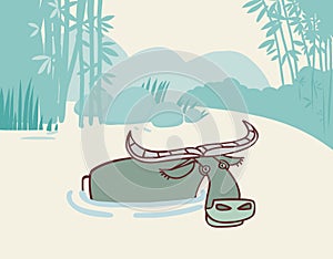 Buffalo in the water