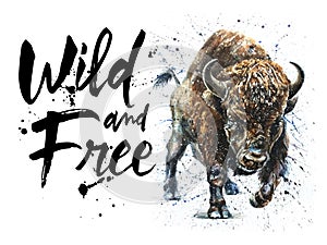 Buffalo watercolor wildlife painting, bison wild and free wildlife print for t-shirt photo