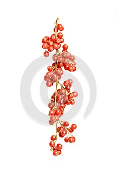 Buffaloberry isolated on white background