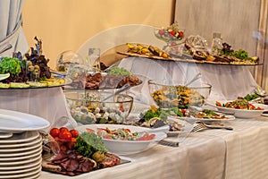 Buffet with different appetizers