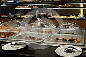 Buffet self-service, catering business, trays of food