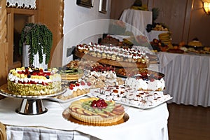 Buffet with sweets. fruits and other sweets on dessert table. Rows of tasty looking desserts in beautiful arrangements. Sweets on