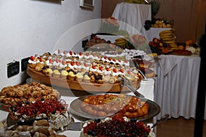 Buffet with sweets. fruits and other sweets on dessert table. Rows of tasty looking desserts in beautiful arrangements. Sweets on