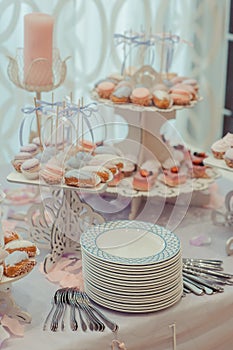 Buffet of sweets at the wedding table