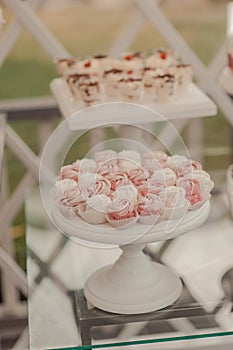 Buffet of sweets at the wedding table