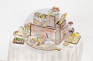 Buffet table. Cheeses, fruits and berries on a beautifully vintage decorated table.Hand draw on a white paper