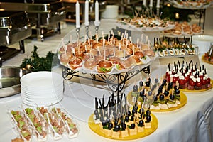 Buffet table with mini hamburgers, snacks, canape and appetizers at luxury wedding reception, copy space. Serving food.