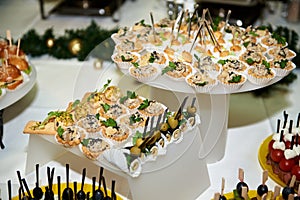 Buffet table with snacks, canape and appetizers at luxury Christmas party, copy space. Serving food.