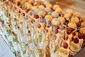 Buffet table with snacks, canape and appetizers at luxury wedding reception, copy space. Serving food at event. Catering banquet