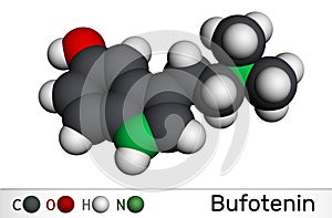 Bufotenin alkaloid molecule. It is tryptamine derivative, hallucinogenic serotonin analog, found in toad skins, mushrooms. photo
