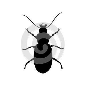 Bug black and white logo