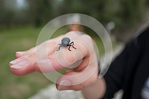 Bug on hand of girl