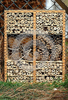 Bug hotel