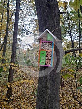 Bug hotel. Insect hideway.