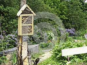 Bug hotels for pollinators photo