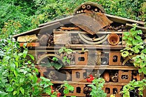 Bug house in amongst the woodland