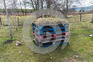 Bug hotel or house on a grass area