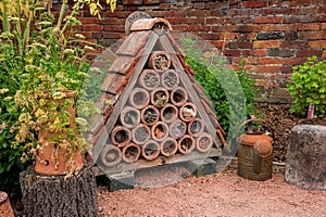 Bug or Insect House
