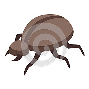 Bug insect icon isometric vector. Stage pupation silk