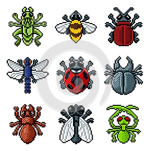 Bug Insect Pixel Art Video Game Beetle 8 Bit Icons photo