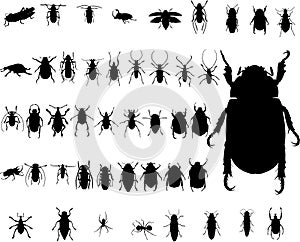 Bug insect silhouettes