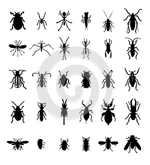 Bug insect silhouettes