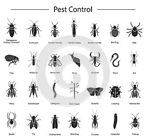 Bug of insect vector black set icon.Vector illustration insect beetle. Isolated black icon bug and fly beetle.