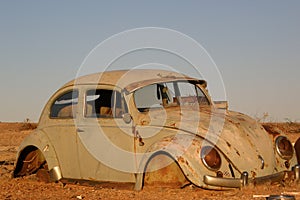 Bug in the Outback