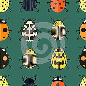 Bug Vector illustration