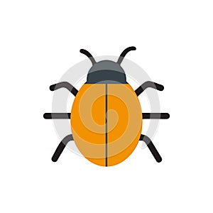 Bug virus alert isolated icon