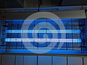 Bug zapper. Electronic mosquito killer lantern