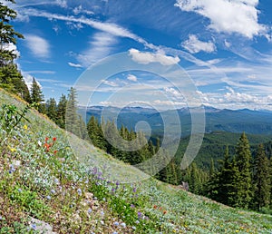 Bugaboo Ridge Trail