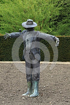 Bugbear in the garden