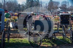 Buggies at Mud Sale