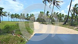 Buggy ride passing by coconut trees on a sandy terrain