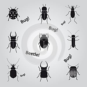 Bugs and beetles icons set