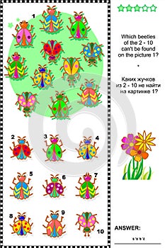 Bugs and beetles visual logic puzzle
