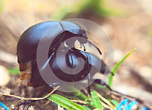 Bugs caught in the act