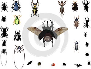 Bugs collection isolated on white