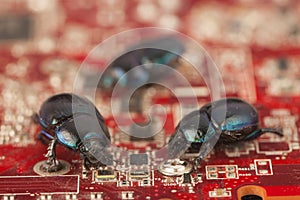 Bugs on a computer chip