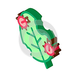 Bugs Eat Leaf isometric icon vector illustration