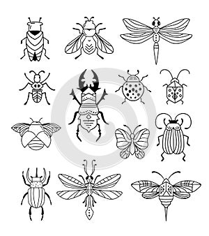 Bugs, insects, Butterfly, ladybug, beetle, swallowtail, dragonfly collection. Modern set of icons, symbols and