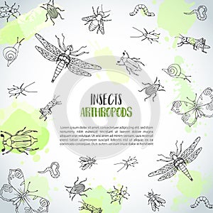 Bugs insects hand drawn background. Pest control concept. Entomology poster. Cartoon illustration of pests and bug