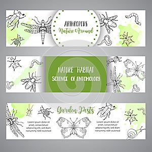 Bugs insects hand drawn banner. Pest control concept. Entomology poster Cartoon illustration of pests and bug. Vector