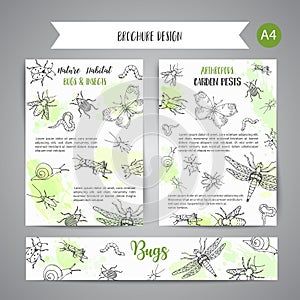 Bugs insects hand drawn banner. Pest control concept. Entomology poster Cartoon illustration of pests and bug. Vector photo