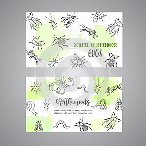 Bugs insects hand drawn cards. Pest control concept. Entomology poster. Cartoon illustration of pests and bug. Vector