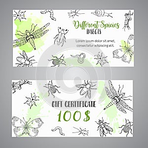 Bugs insects hand drawn gift certificate. Pest control concept. Entomology poster. Cartoon illustration of pests and bug photo