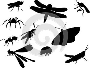 Bugs and other insect silhouettes